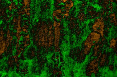 Soyut arkaplan. Çoklu renkli doku çizimi.