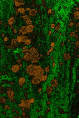 Soyut arkaplan, çok renkli arkaplan