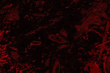 Soyut arkaplan. Çoklu renkli doku çizimi.