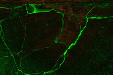 Soyut arkaplan. Çoklu renkli doku çizimi.