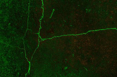 Soyut arkaplan. Çoklu renkli doku çizimi.