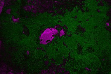 Soyut arkaplan. Çoklu renkli doku çizimi.