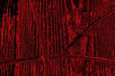 Soyut arkaplan. Çoklu renkli doku çizimi.