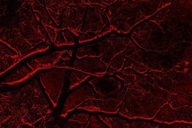 Soyut arkaplan. Çoklu renkli doku çizimi.