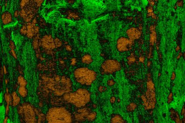 Soyut arkaplan, çok renkli arkaplan