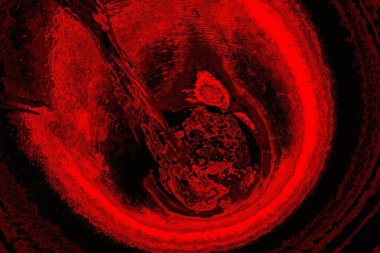 Soyut arkaplan. Çoklu renkli doku çizimi.