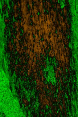 Soyut arkaplan, çok renkli arkaplan