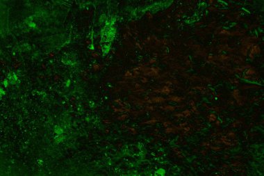 Soyut arkaplan. Çoklu renkli doku çizimi.