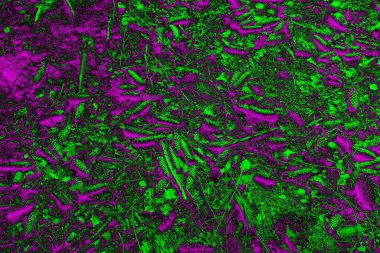 Soyut arkaplan. Çoklu renkli doku çizimi.