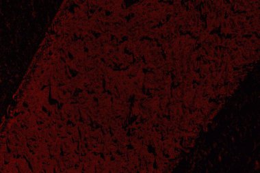 Soyut arkaplan. Çoklu renkli doku çizimi.