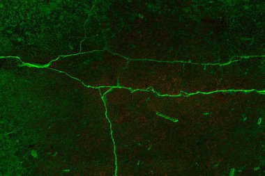 Soyut arkaplan. Çoklu renkli doku çizimi.