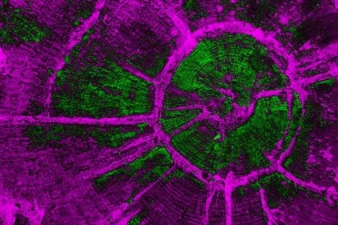 Soyut arkaplan. Çoklu renkli doku çizimi.