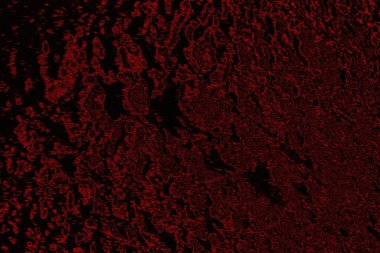 Soyut arkaplan. Çoklu renkli doku çizimi.