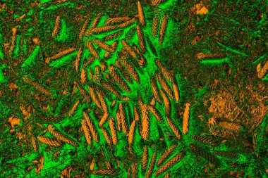 Soyut arkaplan. Çoklu renkli doku çizimi.