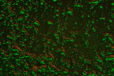 Soyut arkaplan. Çoklu renkli doku çizimi.