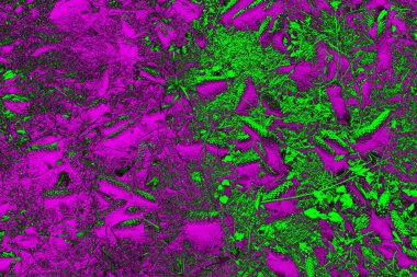 Soyut arkaplan. Çoklu renkli doku çizimi.