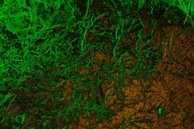 Soyut arkaplan, çok renkli arkaplan