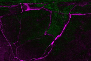 Soyut arkaplan. Çoklu renkli doku çizimi.