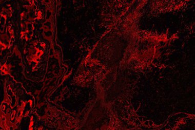 Soyut arkaplan. Çoklu renkli doku çizimi.