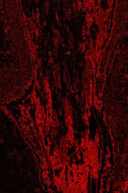 Soyut arkaplan. Çoklu renkli doku çizimi.