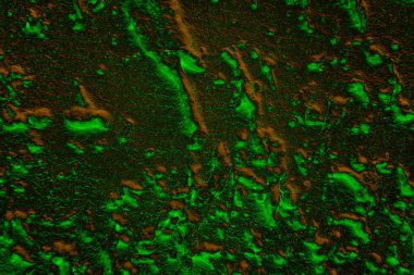 Soyut arkaplan. Çoklu renkli doku çizimi.