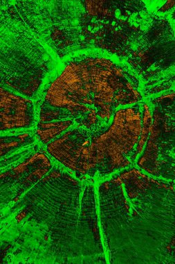 Soyut arkaplan. Çoklu renkli doku çizimi.