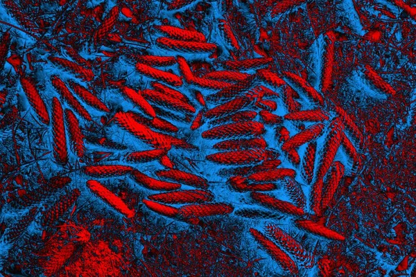 Soyut arkaplan, çok renkli arkaplan