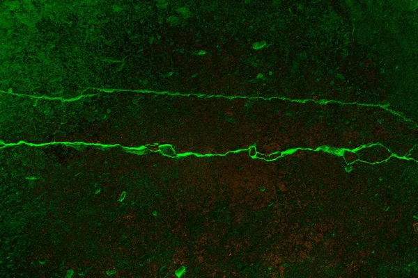 Soyut arkaplan. Çoklu renkli doku çizimi.