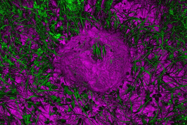 Soyut arkaplan. Çoklu renkli doku çizimi.