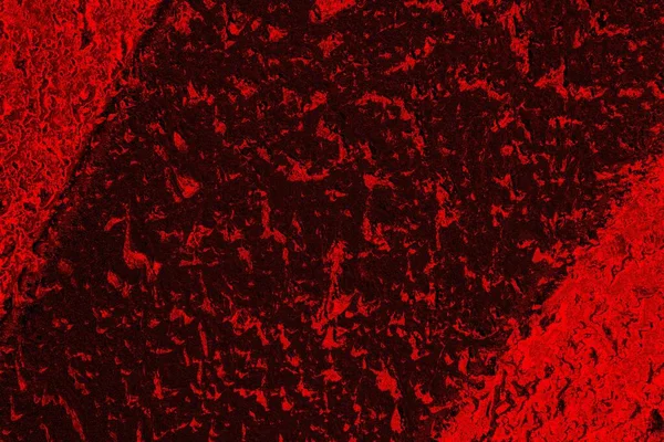 Soyut arkaplan. Çoklu renkli doku çizimi.