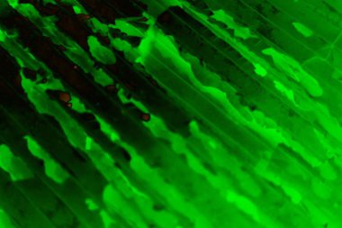 Soyut arkaplan. Çoklu renkli doku çizimi.