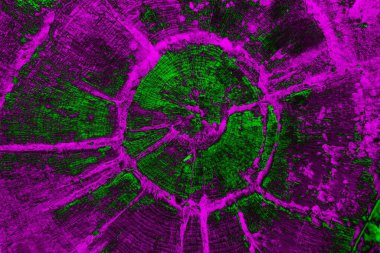 Soyut arkaplan. Çoklu renkli doku çizimi.