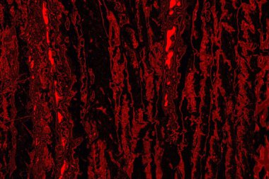 Soyut arkaplan. Çoklu renkli doku çizimi.