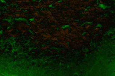 Soyut arkaplan. Çoklu renkli doku çizimi.