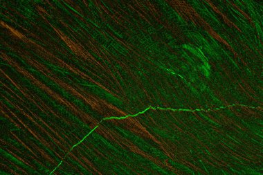 Soyut arkaplan. Çoklu renkli doku çizimi
