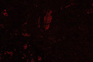 Soyut arkaplan. Çoklu renkli doku çizimi.