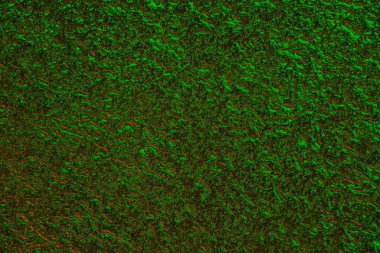 Soyut arkaplan. Çoklu renkli doku çizimi.