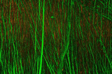 Soyut arkaplan. Çoklu renkli doku çizimi