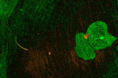 Soyut arkaplan. Çoklu renkli doku çizimi.