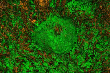 Soyut arkaplan. Çoklu renkli doku çizimi.