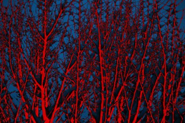 Soyut arkaplan, çok renkli arkaplan