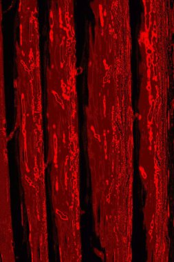 Soyut arkaplan. Çoklu renkli doku çizimi.