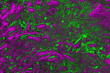 Soyut arkaplan. Çoklu renkli doku çizimi.