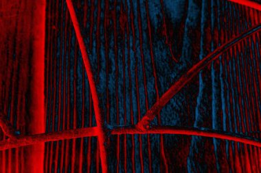 Soyut arkaplan, çok renkli arkaplan