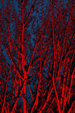 Soyut arkaplan. Çoklu renkli doku çizimi