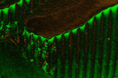 Soyut arkaplan. Çoklu renkli doku çizimi.