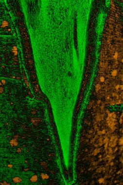 Soyut arkaplan. Çoklu renkli doku çizimi