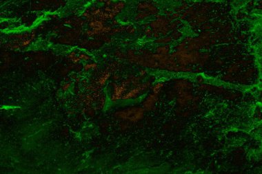 Soyut arkaplan. Çoklu renkli doku çizimi.