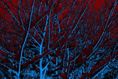 Soyut arkaplan. Çoklu renkli doku çizimi