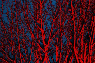 Soyut arkaplan. Çoklu renkli doku çizimi